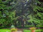 фото отеля Grand Hotel Terme Riolo Terme