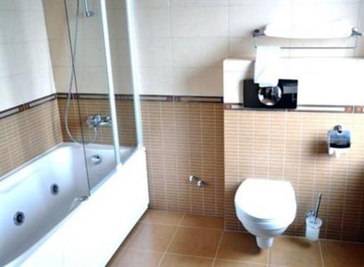 фото отеля Hotel Leul de Aur