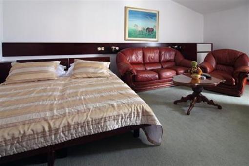 фото отеля Hotel Consul