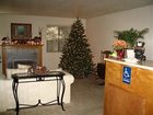 фото отеля Christmas Tree Inn