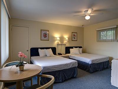 фото отеля Ocean View Terrace Motel