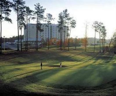 фото отеля Embassy Suites Hotel Greenville Golf Resort & Conference Ctr