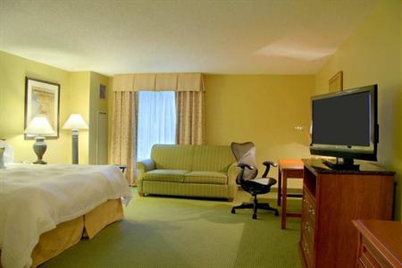 фото отеля Hilton Garden Inn Saratoga Springs