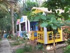 фото отеля Papaya Garden Huts