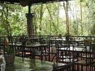 фото отеля Rainforest Adventure Lodge