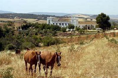 фото отеля Cortijo Barranco Hotel Arcos de la Frontera