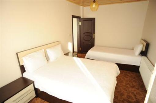 фото отеля Thermal Aydin Hotel