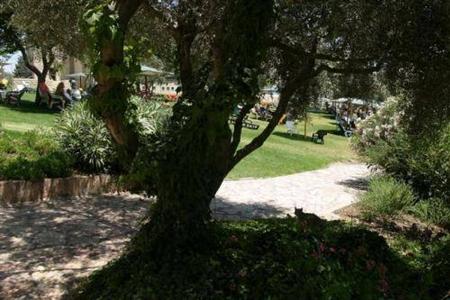 фото отеля Hotel Ramat Rachel