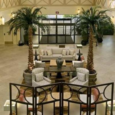 фото отеля Hilton Tampa Airport Westshore