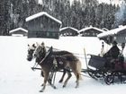 фото отеля Bauernhof Almhof Lingg