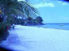 фото отеля Alona Tropical Beach Resort