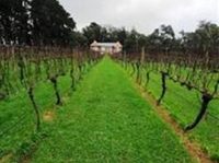 Frederick @ Mantons Creek Vineyard Lodge Melbourne