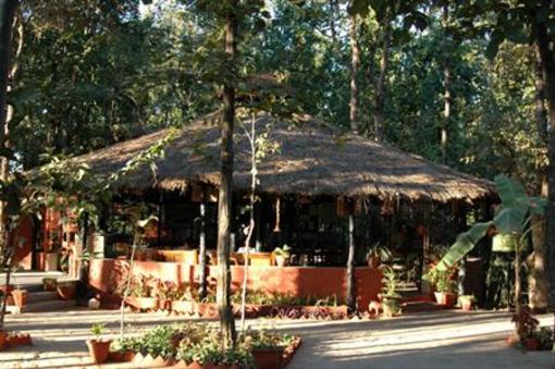 фото отеля Kanha Jungle Lodge