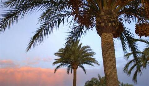 фото отеля Vincci Mediterraneo Hotel Almeria