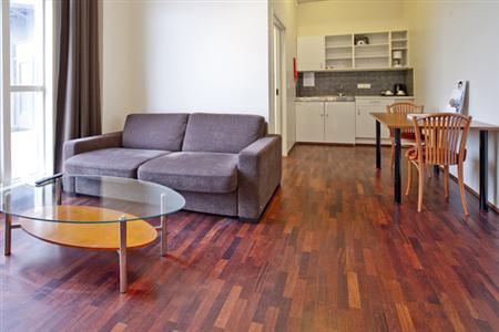 фото отеля Fosshotel Baron