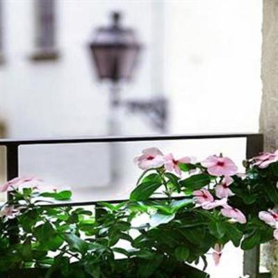 фото отеля Residenza San Faustino
