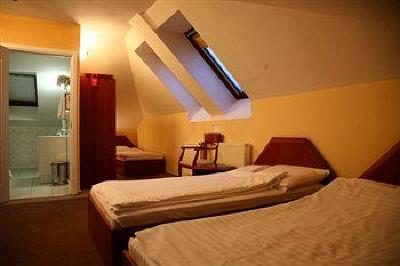 фото отеля Hotel Villa Pallas
