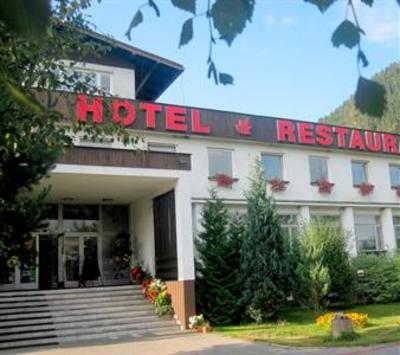 фото отеля Hotel Borova Sihot