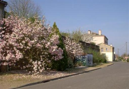 фото отеля Au Chateau Saint-Nicolas-de-la-Grave