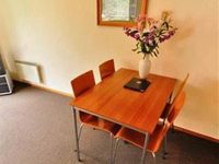 Punga Grove Motel & Suites