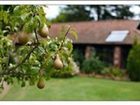 фото отеля Felbrigg Lodge