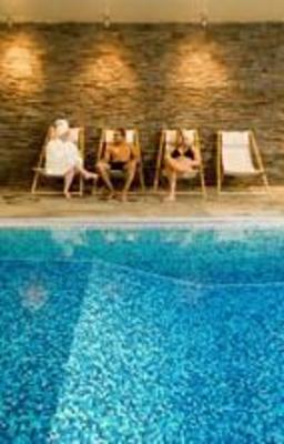 фото отеля Hotell Borgafjall