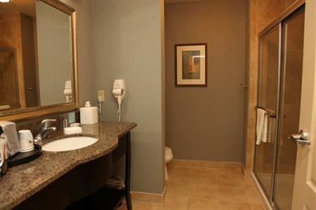 фото отеля Hampton Inn & Suites Carlsbad (New Mexico)