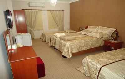 фото отеля Hotel Demirdag