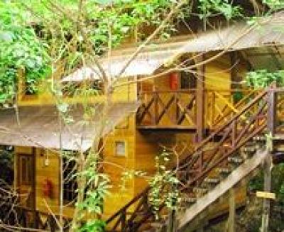 фото отеля Borneo Tropical Rainforest Resort Miri