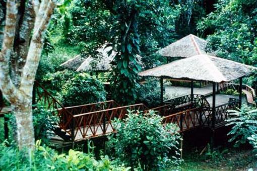 фото отеля Sepilok Jungle Resort Sandakan