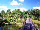 фото отеля Sepilok Jungle Resort Sandakan