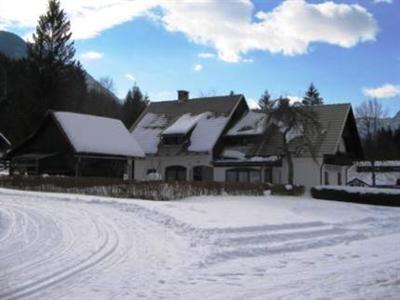 фото отеля Apartments Alp Bohinj