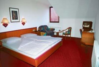 фото отеля Hotel Delminium