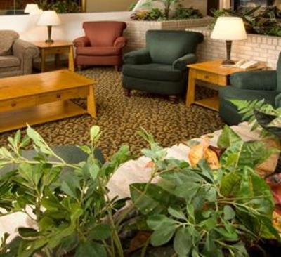 фото отеля Pear Tree Inn McAllen