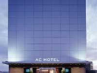 Ibis Murcia