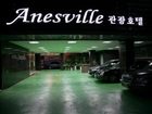 фото отеля Hotel Anesville