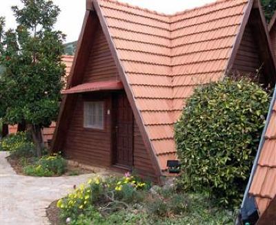 фото отеля Rimonim Hermon Holiday Village
