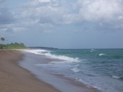 фото отеля Lonely Beach Resort Tangalle