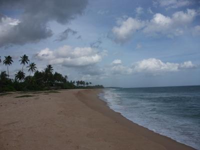 фото отеля Lonely Beach Resort Tangalle