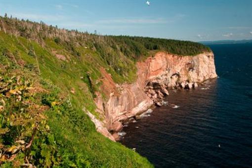 фото отеля Sepaq - Parc National De L'ile Bonaventure Et Du R